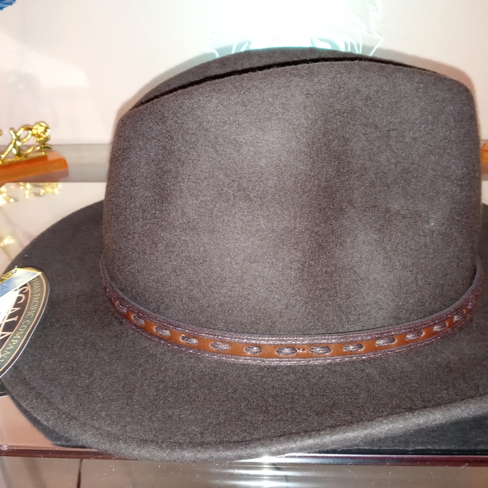 Fedora - Picture 2 of 4